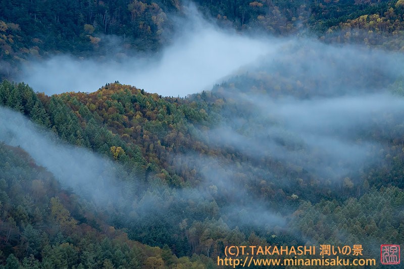 ../Images/7R251025 (56).jpg